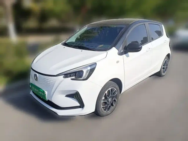 Фотография автомобиля — Changan Benben E-Star