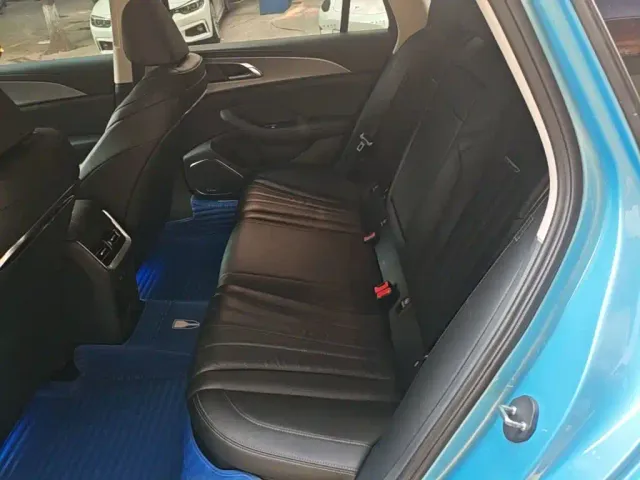 Hongqi Hongqi H5 2023 1.5T HEV Smart Connect Flag Comfort — Фото автомобиля 16