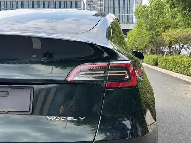 Tesla Model Y — Фото автомобиля 20