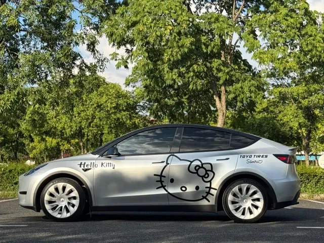 Tesla Model Y — Фото автомобиля 3