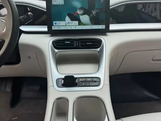Geely Starry Wish — Фото автомобиля 10