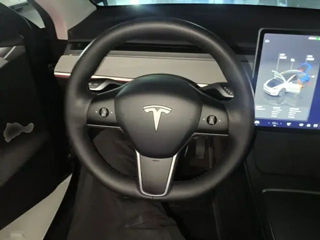 Tesla Model Y — Фото автомобиля 10