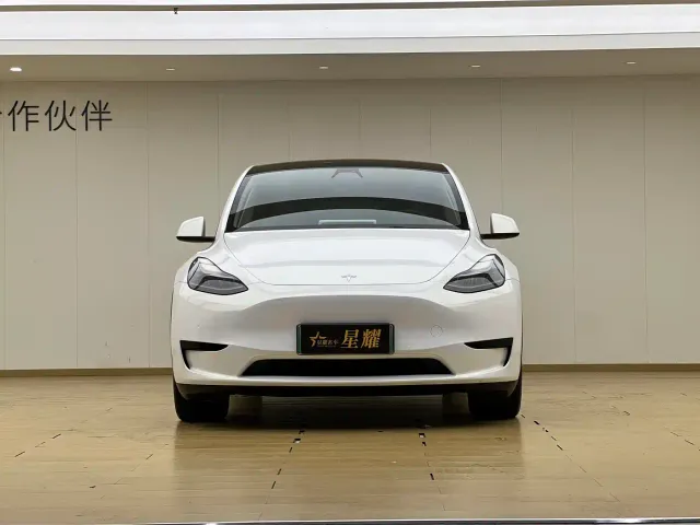 Tesla Model Y — Фото автомобиля 2