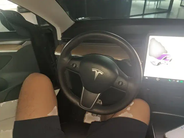 Tesla Model 3 — Фото автомобиля 10