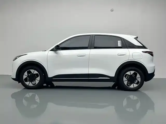 Geely Starry Wish — Фото автомобиля 11