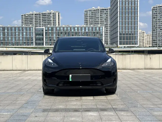 Tesla Model Y — Фото автомобиля 2