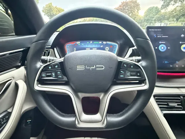 BYD Song PLUS — Фото автомобиля 17