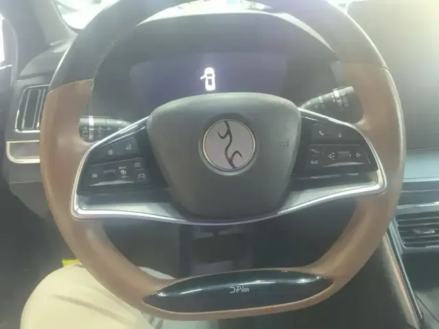 BYD Tang New Energy 2021 DM-i 112KM Honor — Фото автомобиля 15