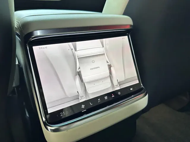 Tesla Model X — Фото автомобиля 14