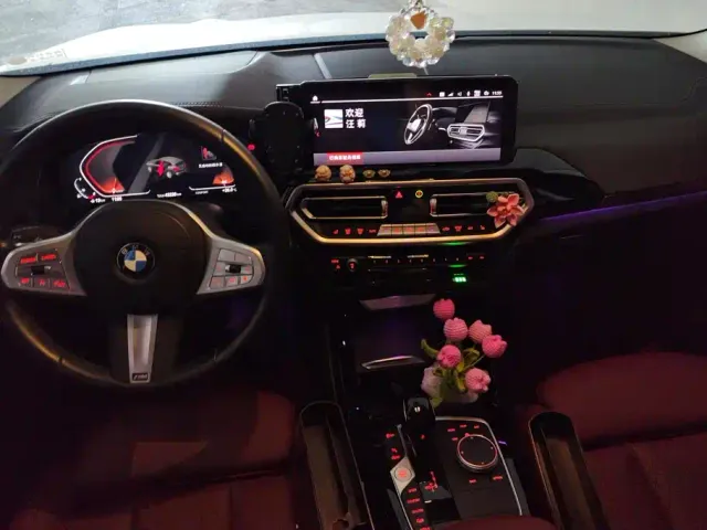 BMW X3 — Фото автомобиля 12