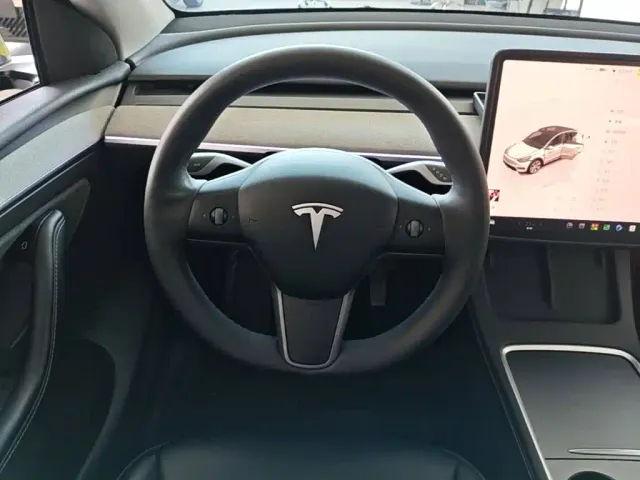 Tesla Model Y — Фото автомобиля 10