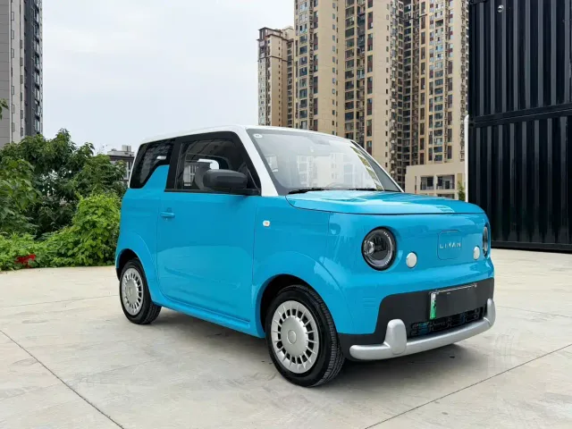 Livan Ruilan Blue Elf — Фото автомобиля 3