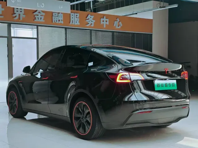 Tesla Model Y — Фото автомобиля 5
