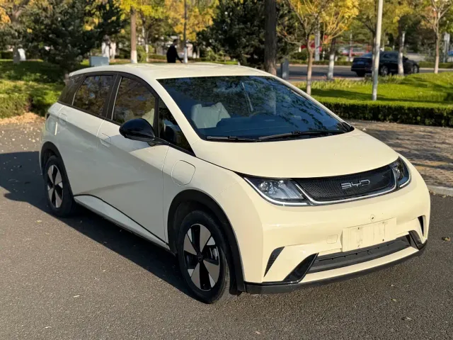 BYD Dolphin — Фото автомобиля 9