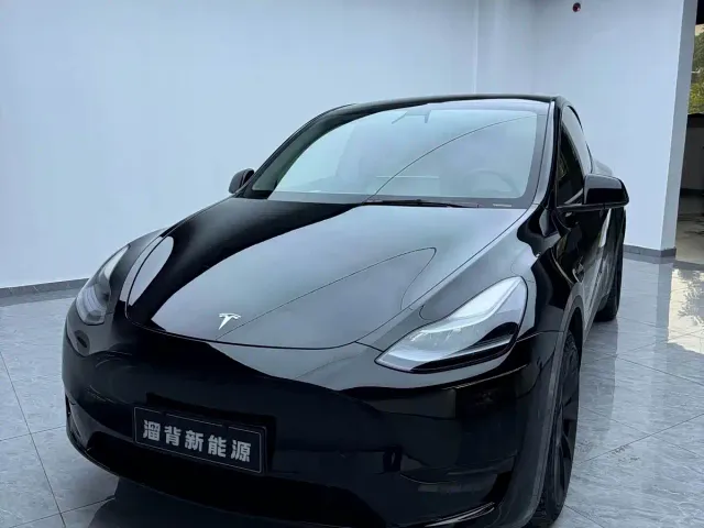 Tesla Model Y — Фото автомобиля 2
