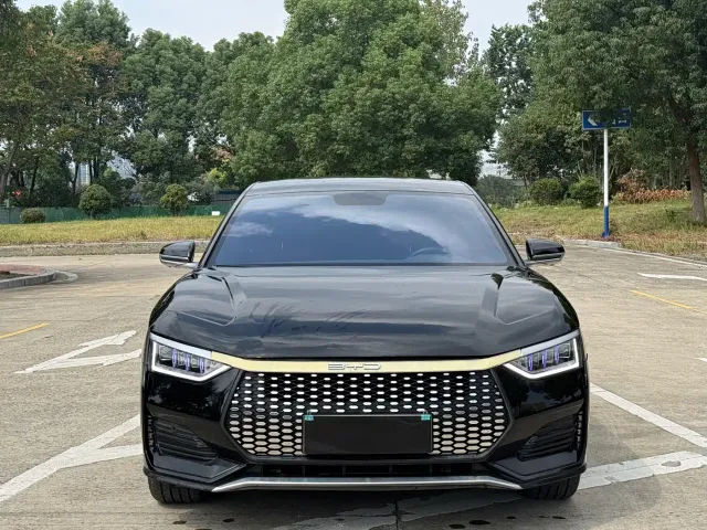 BYD BYD e9 2022 Model Year Business Edition — Фото автомобиля 2