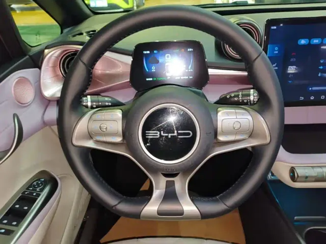 BYD Dolphin — Фото автомобиля 10