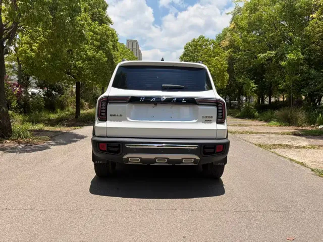 Haval Big Dog — Фото автомобиля 8