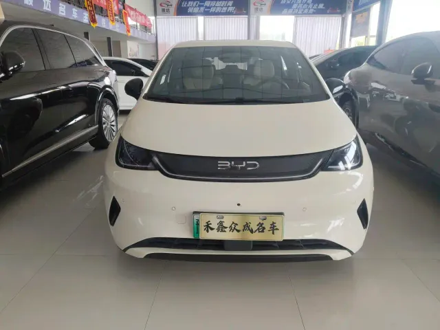 BYD Dolphin — Фото автомобиля 2