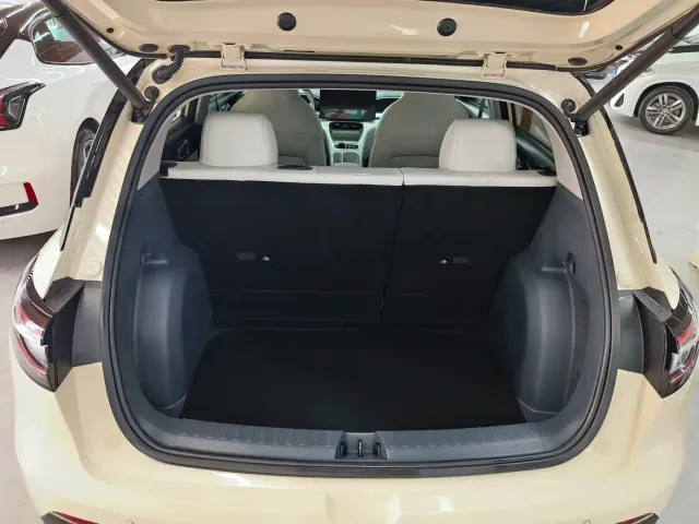 Geely Starry Wish — Фото автомобиля 13