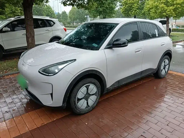 Фотография автомобиля — Geely Starry Wish
