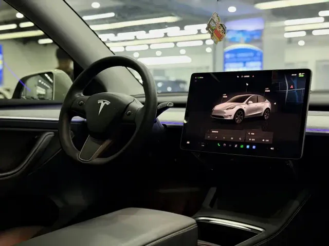 Tesla Model Y — Фото автомобиля 11