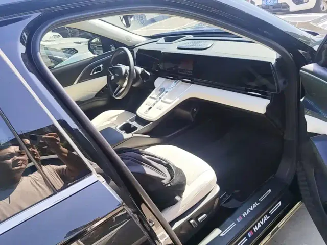 Haval Xiaolong MAX — Фото автомобиля 8
