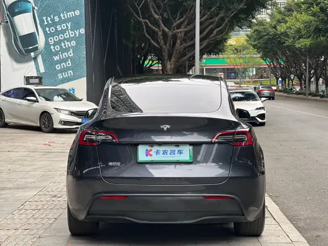 Tesla Model Y — Фото автомобиля 4