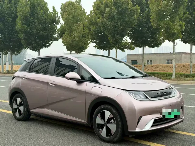 BYD Dolphin — Фото автомобиля 3