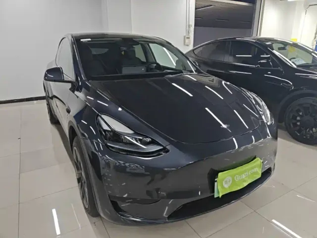 Tesla Model Y — Фото автомобиля 3