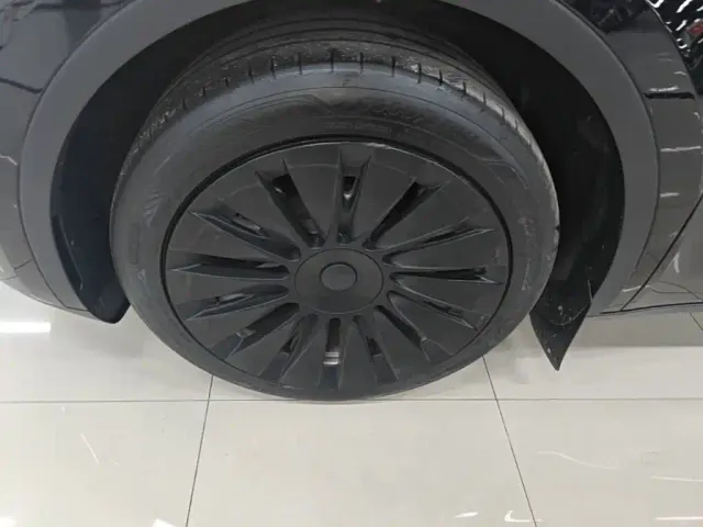 Tesla Model Y — Фото автомобиля 22