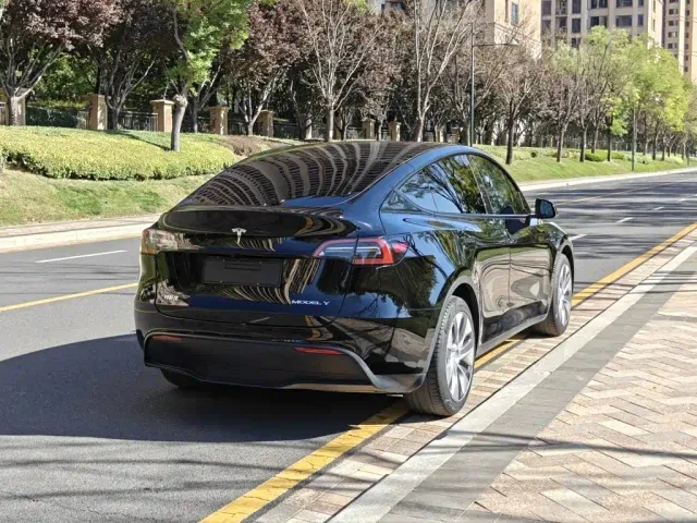 Tesla Model Y — Фото автомобиля 6