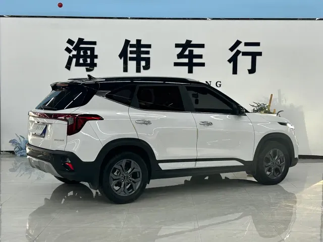 Kia Seltos — Фото автомобиля 13