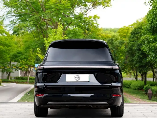 Li Auto L9 — Фото автомобиля 15