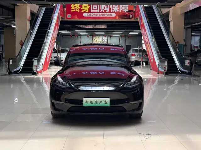 Tesla Model Y — Фото автомобиля 2