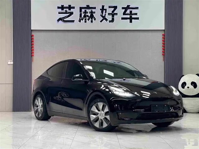Tesla Model Y — Фото автомобиля 3