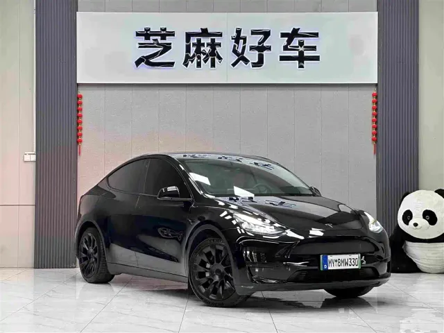 Tesla Model Y — Фото автомобиля 3