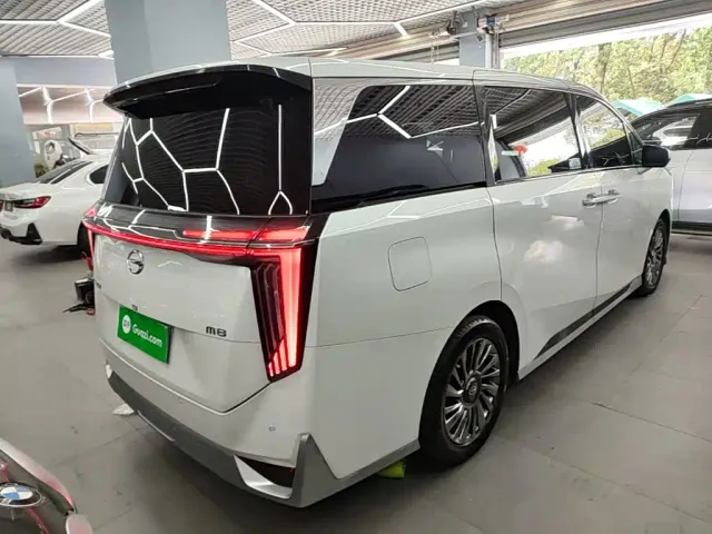 GAC Trumpchi M8 — Фото автомобиля 6