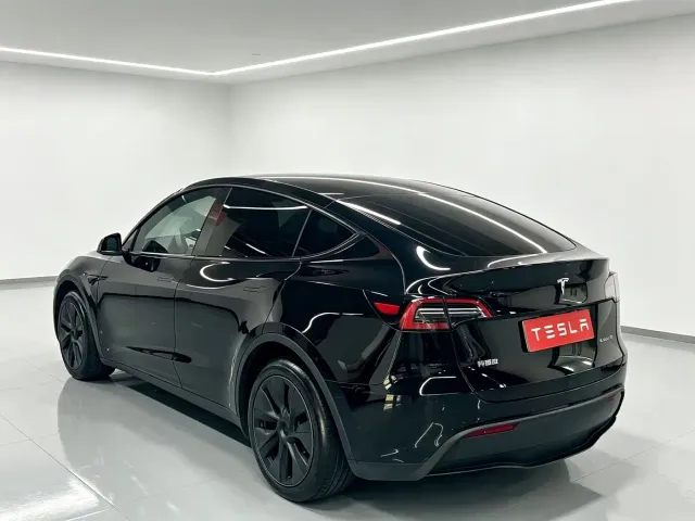 Tesla Model Y — Фото автомобиля 9