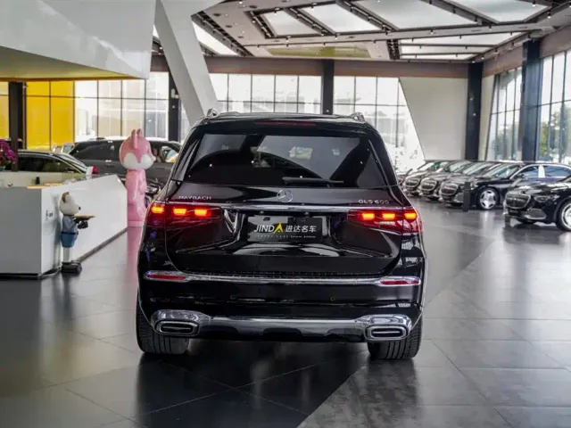 Mercedes-Benz Maybach GLS — Фото автомобиля 19