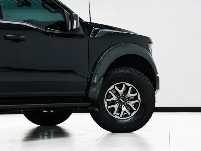 Ford F-150 Raptor — Фото автомобиля 20