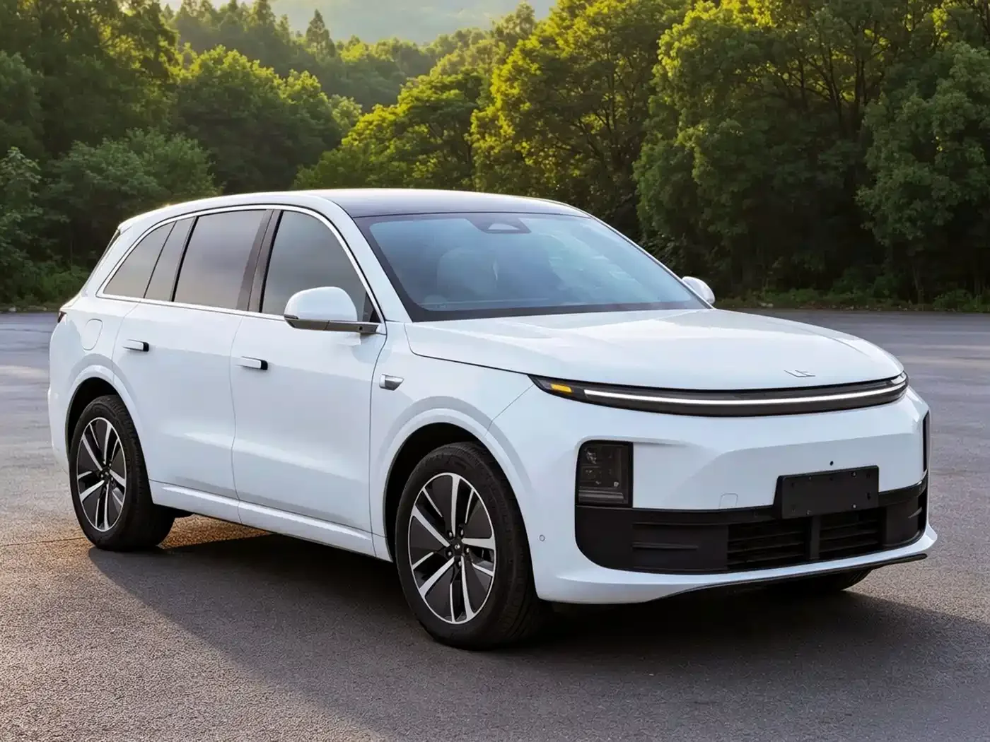 Li Auto Li Auto L6 2024 Pro — Фото автомобиля 8