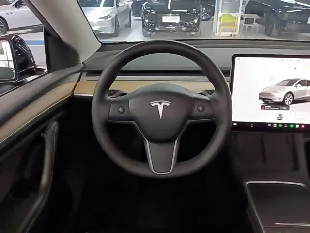 Tesla Model Y — Фото автомобиля 10
