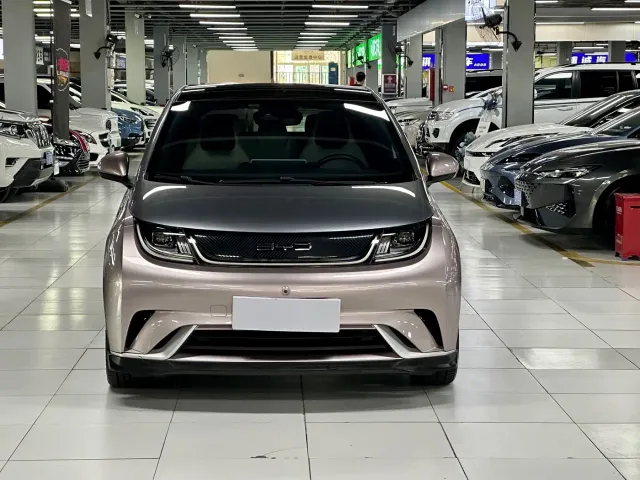 BYD Dolphin — Фото автомобиля 2