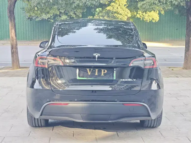 Tesla Model Y — Фото автомобиля 7