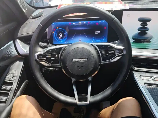 Haval Shenshou — Фото автомобиля 10
