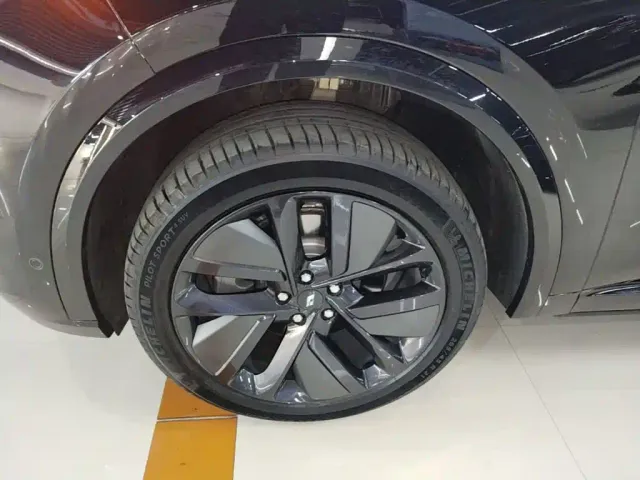 Li Auto L9 — Фото автомобиля 22