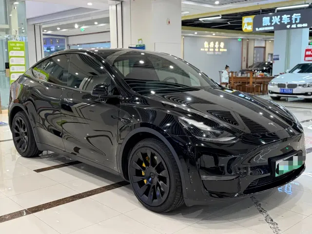 Tesla Model Y — Фото автомобиля 3