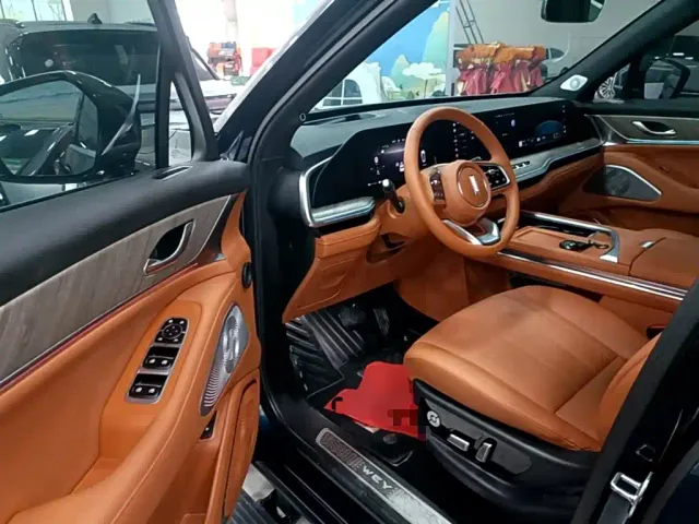 Wey Lanshan — Фото автомобиля 15