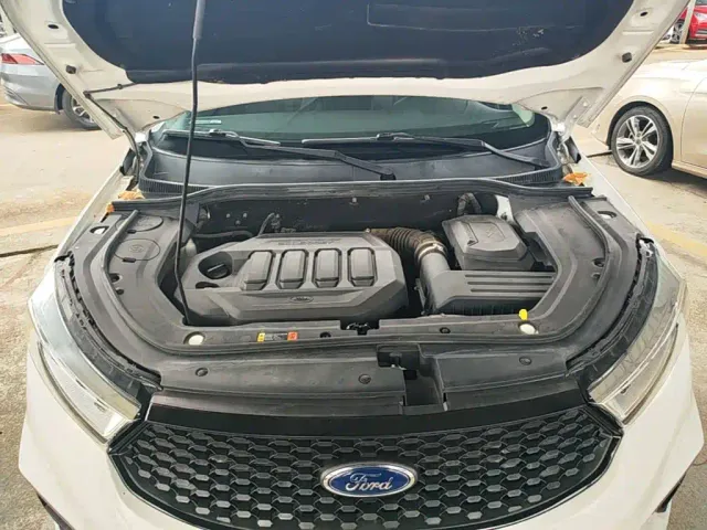 Ford Territory 2020 Territory S EcoBoost 145 CVT Platinum — Фото автомобиля 19